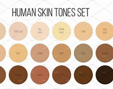 Image result for Skin Tone Colors