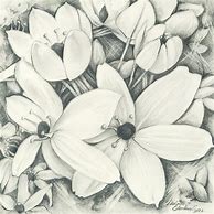 Image result for Amazing Pencil Drawings of Flowers