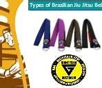 Image result for Jiu Jitsu Belts
