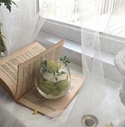 Image result for Beige Green Aesthetic