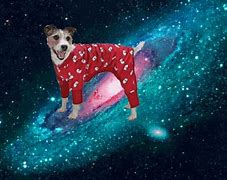 Image result for No Dogs in Space