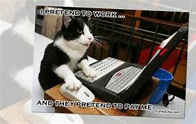 Image result for Funny Cat Work Memes