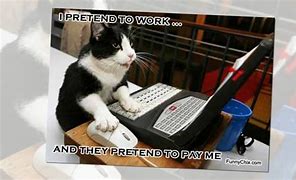 Image result for First Day of Work Cat Meme