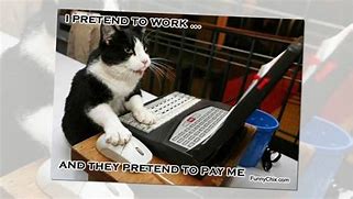 Image result for Get to Work Cat Meme
