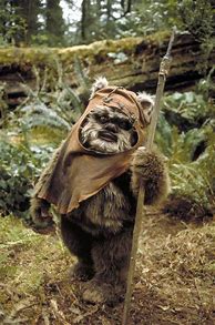 Image result for Wicket Ewok Costume