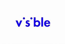 Image result for Visible Company