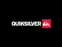 Image result for Logo Quiksilver High Res