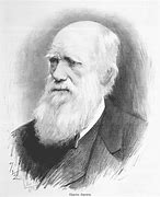 Image result for darwinismo