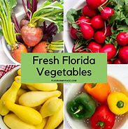Image result for Florida  vegetable