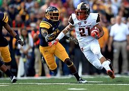 Image result for Bowling Green Football