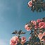 Image result for Cute Aesthetic Flowers Backgrounds