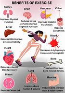 Image result for Exercise Effects On Body