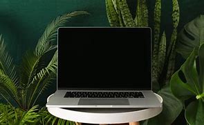Image result for Light Green Laptop