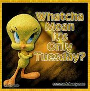 Image result for It's Only Tuesday