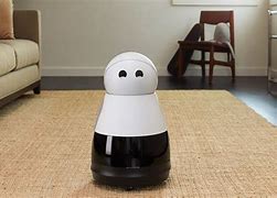 Image result for Home Robots