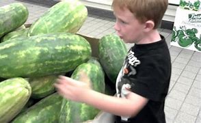 Image result for World's Largest Cucumber