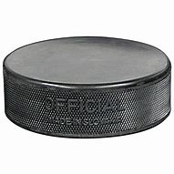Image result for Ice Hockey Puck