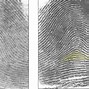 Image result for Spur Fingerprint