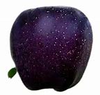 Image result for Apple Variety Black Diamond