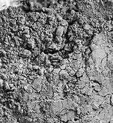 Image result for cement_pucolanowy