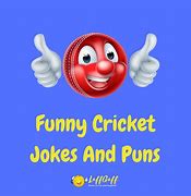 Image result for Funny Cricket Quotes Wicket