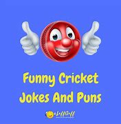 Image result for Funny Cricket Mugs