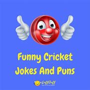 Image result for Cricket Bat Puns