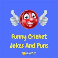 Image result for Cricket Puns