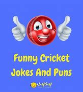 Image result for Funny Roast for Hood Crickets