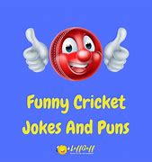 Image result for Cricket Bug Jokes