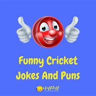 Image result for Funny Cricket Jokes