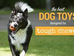 Image result for Chew Proof Dog Toys