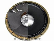 Image result for Speaker Cone Kits