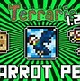 Image result for Terraria Pet Slot