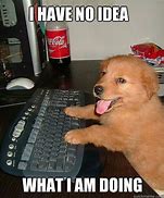 Image result for Animal Work Memes Hilarious