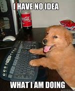 Image result for Animals at Work Meme