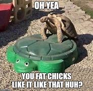 Image result for Mexican Turtle Meme