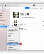 Image result for Apple iTunes Burn Logo