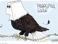 Image result for Philadelphia Eagles Funny Cartoons