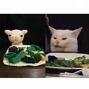Image result for Salad Cat Meme Template