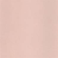 Image result for Champagne Pink Paint