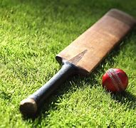 Image result for Cricket Action with Green Background