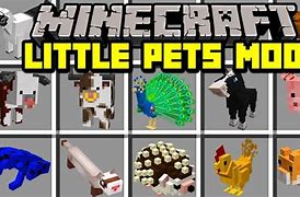 Image result for Pets Mod MC