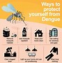 Image result for Dengue Fever Warning Signs