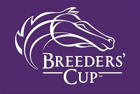 Image result for Breeders' Cup Program Cover Art