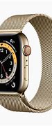 Image result for iPhone SE Apple Watch