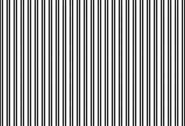 Image result for Vertical Stripes