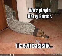 Image result for Animal Memes Funny Harry Potter