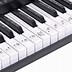 Image result for Piano Keyboard with Microphone