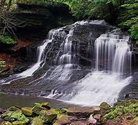 Image result for Things to Do Grove City PA
